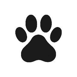 Chi Dog Care